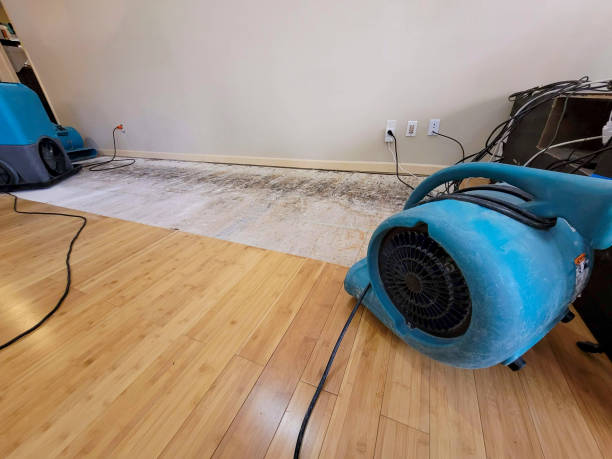 Professional Sewage Cleanup technician working in Kaiser, MO
